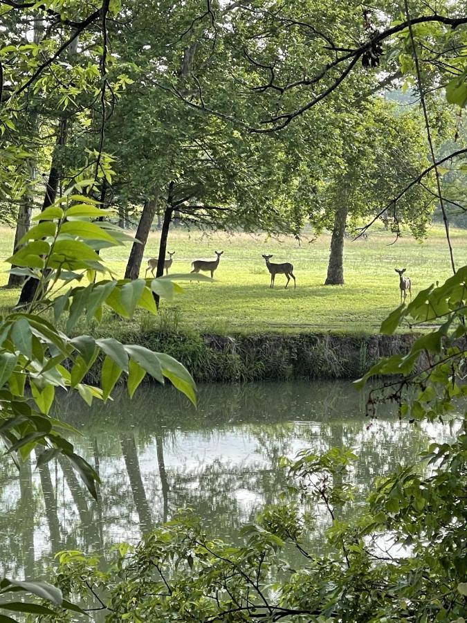 Htr Tx Hill Country Campground Kerrville Εξωτερικό φωτογραφία